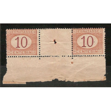 1890 TASSE N. 21 COPPIA INTERSPAZIO DI GRUPPO BORDO DI FOGLIO CERTI...