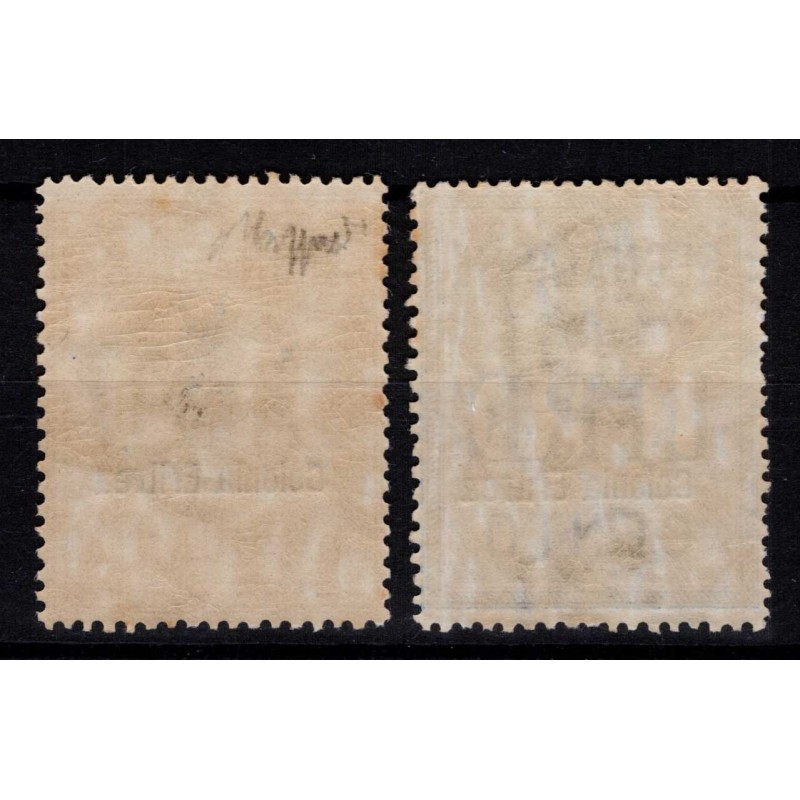 COLONIE ERITREA 1903 SEGNATASSE N.12-13 G.I MNH** CERT.  | Filateli...