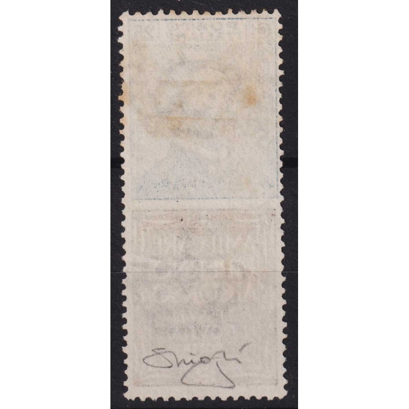 REGNO D'ITALIA 1924-25 PUBBLICITARI 25 CENTESIMI PIPERNO N.6 US. CE...