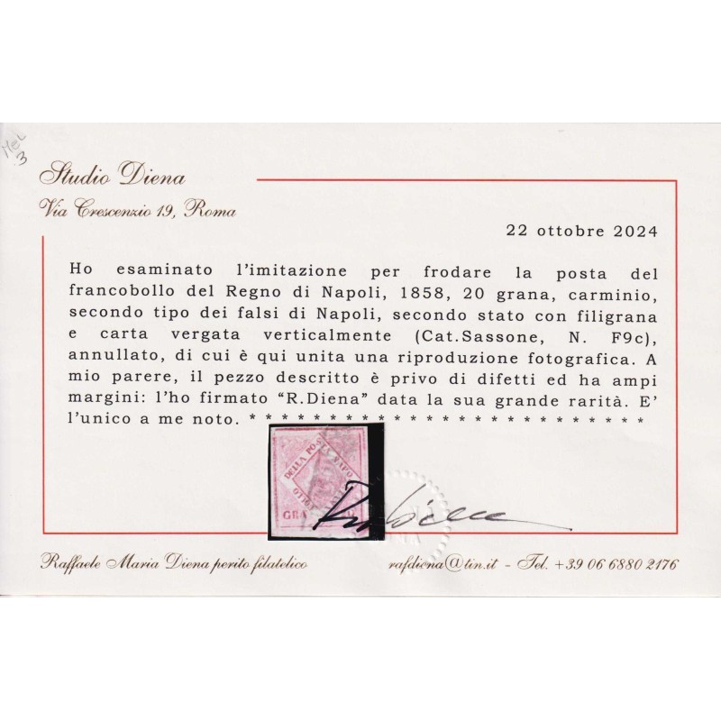 NAPOLI 1858 FALSO 20 GRANA CARMINIO II TIPO + CARTA VERGATA N.F9c U...