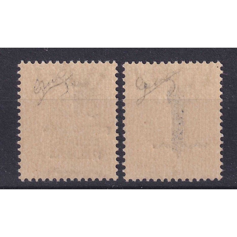 R.S.I. SOCIALE 1944 RECAPITO AUTORIZZATO 2 V. N.3A-3B G.I MNH** CER...