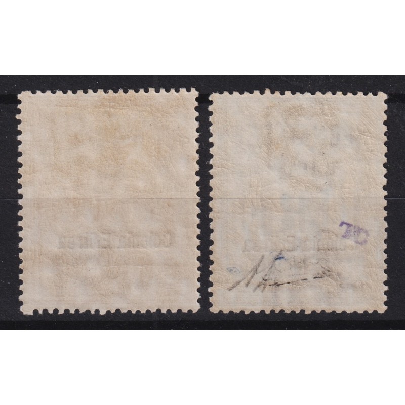 COLONIE ERITREA 1903 SEGNATASSE 2 V. N.12-13 G.O MH* CERT.  | Filat...