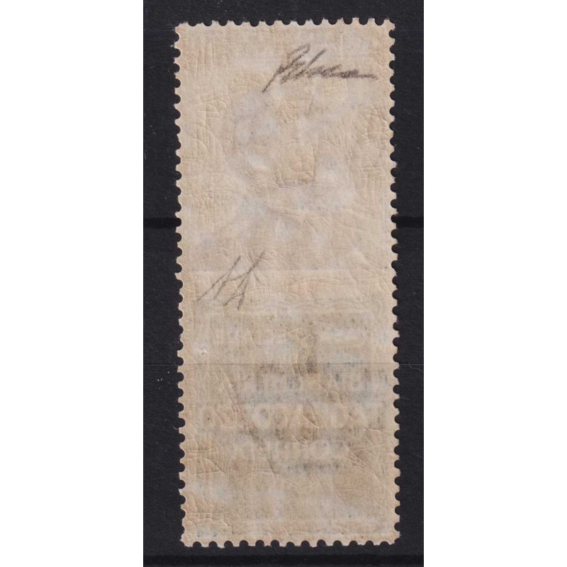 REGNO PUBBLICITARI 1924 50 CENTESIMI TAGLIACOZZO N.17 G.I MNH** CER...