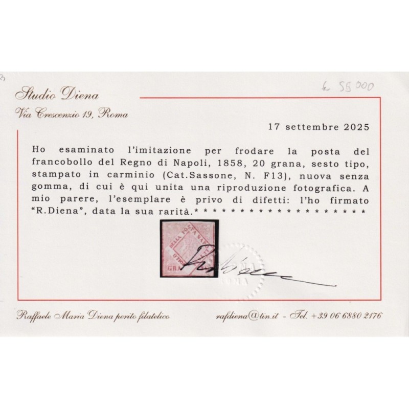 NAPOLI 1859-61 20 GRANA CARMINIO FALSO VI TIPO N.F13 CERT. RARITA' ...