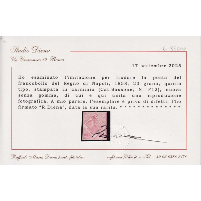 NAPOLI 1859-61 20 GRANA CARMINIO FALSO V TIPO N.F12 CERT. RARITA'  ...