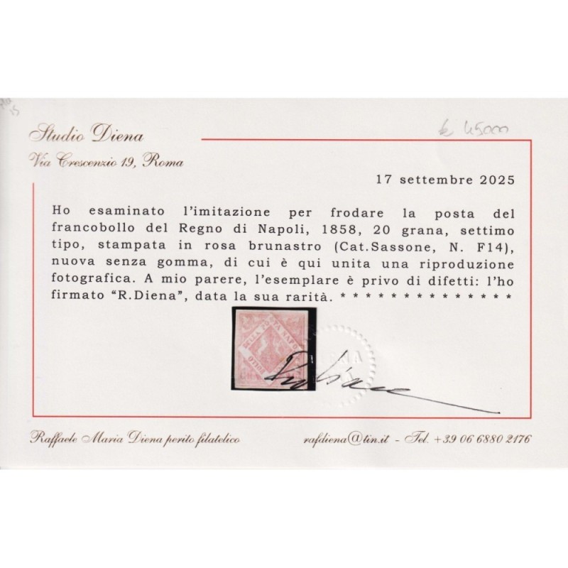 NAPOLI 1859-61 20 GRANA ROSA BRUNASTRO FALSO VII TIPO N.F14 CERT. R...