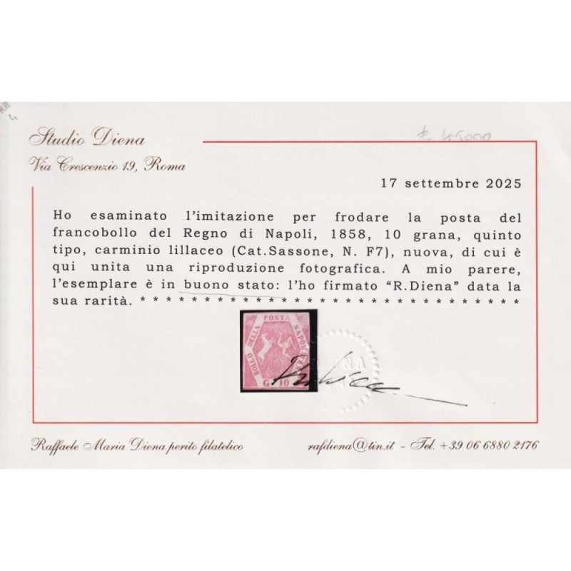 NAPOLI 1859-61 10 GRANA CARMINIO LILLACEO FALSO V TIPO N.F7 CERT. R...