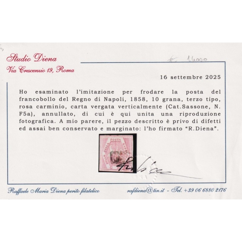NAPOLI 1859-61 10 GRANA ROSA CAR. VERGATA VERT. FALSO III TIPO N.F5...