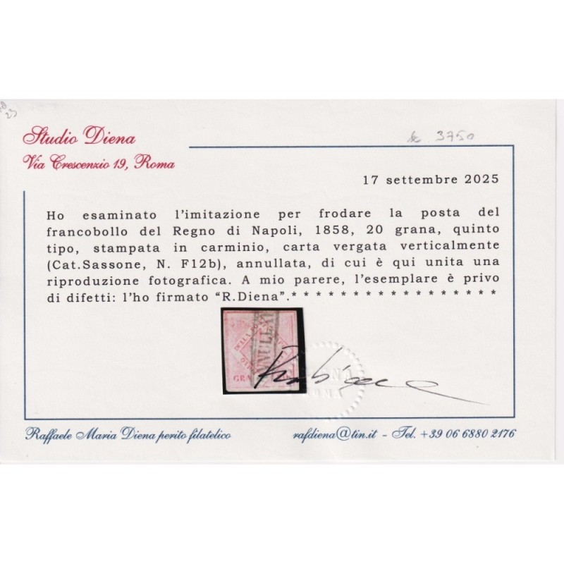 NAPOLI 1859-61 20 GRANA CARMINIO CARTA VERGATA FALSO V TIPO N.F12b ...
