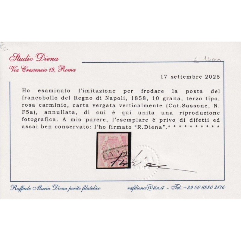 NAPOLI 1859-61 10 GRANA ROSA CARMINIO CARTA VERG. FALSO III TIPO N....