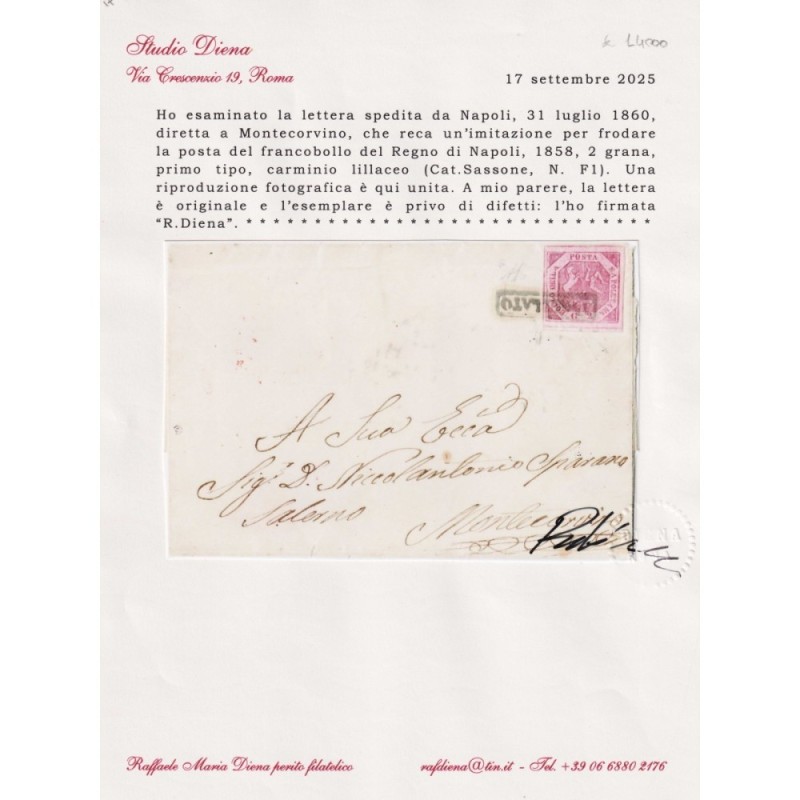 NAPOLI 1859-61 2 GRANA CARMINIO LILLACEO FALSO I TIPO N.F1 US.SU BU...
