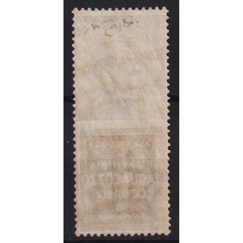 REGNO D'ITALIA 1924 PUBBLICITARI 50 C. TAGLIACOZZO N.17 G.I MNH** C...