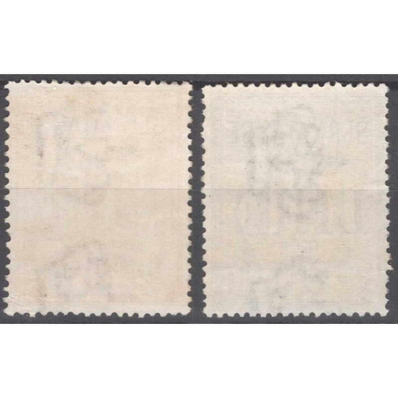 REGNO D'ITALIA 1903 SEGNATASSE N.31-32 G.I MNH**  | Filatelia Meloni