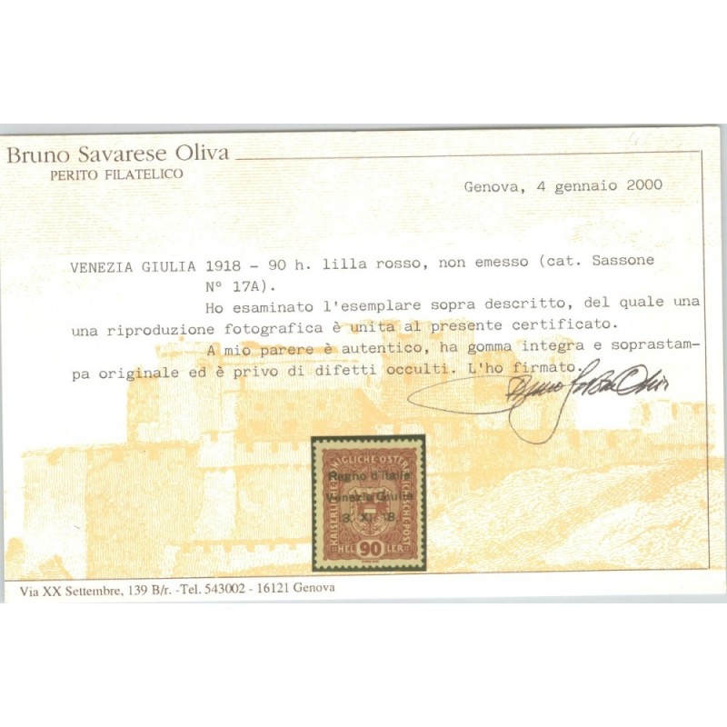 OCCUPAZIONI VENEZIA GIULIA 1918 90 HELLER NON EMESSO N.17A G.I MNH*...