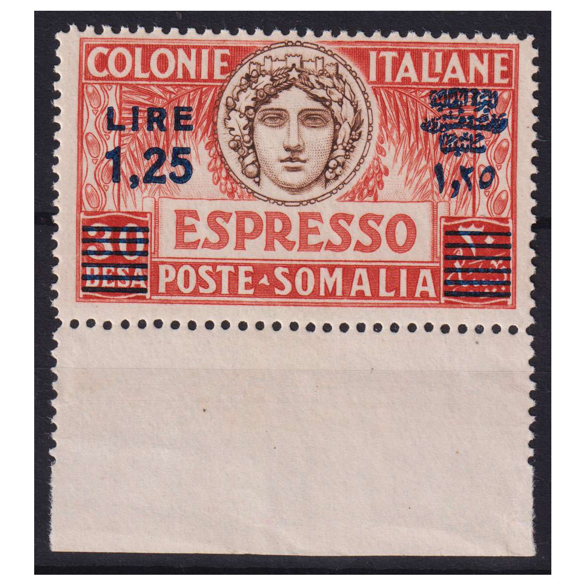 SOMALIA 1927 ESPRESSO 1,25 LIRE SU 30 B. DENT.14 N.8 G.I MNH** B.F ... SOMALIA 1927 ESPRESSO 1,25 LIRE SU 30 B. DENT.14 N.8 G.I MNH** B.F ...