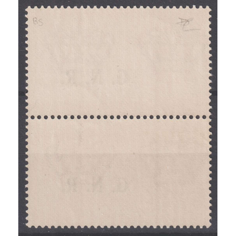 R.S.I 1944 ESPRESSO G.N.R BRESCIA COPPIA 2,50 LIRE N.20/III G.I MNH...