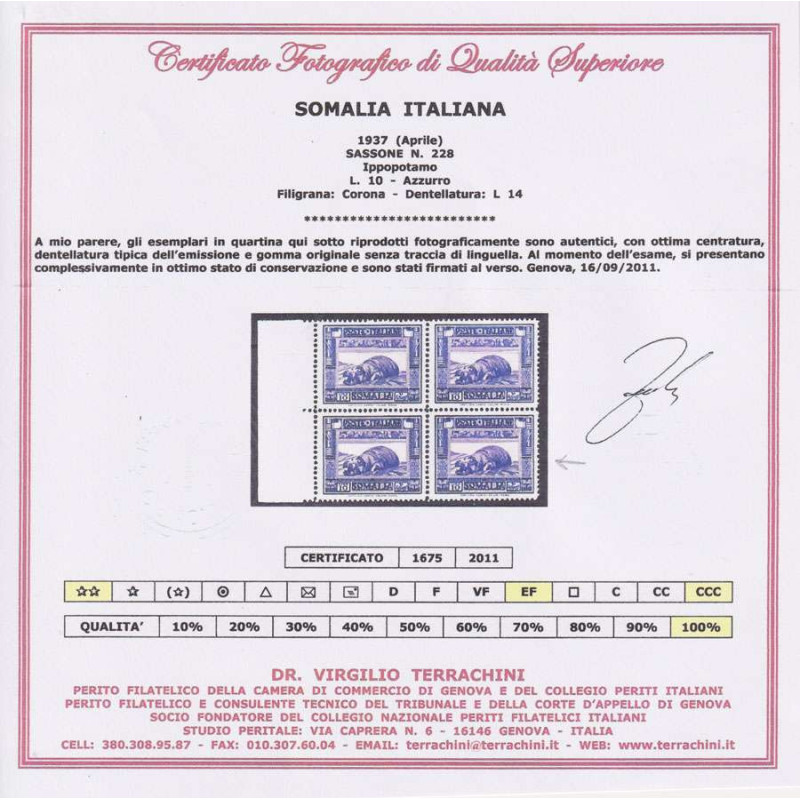COLONIE SOMALIA 1935-38 PITTORICA 10 LIRE N.228 G.I MNH** CERT.  | ...