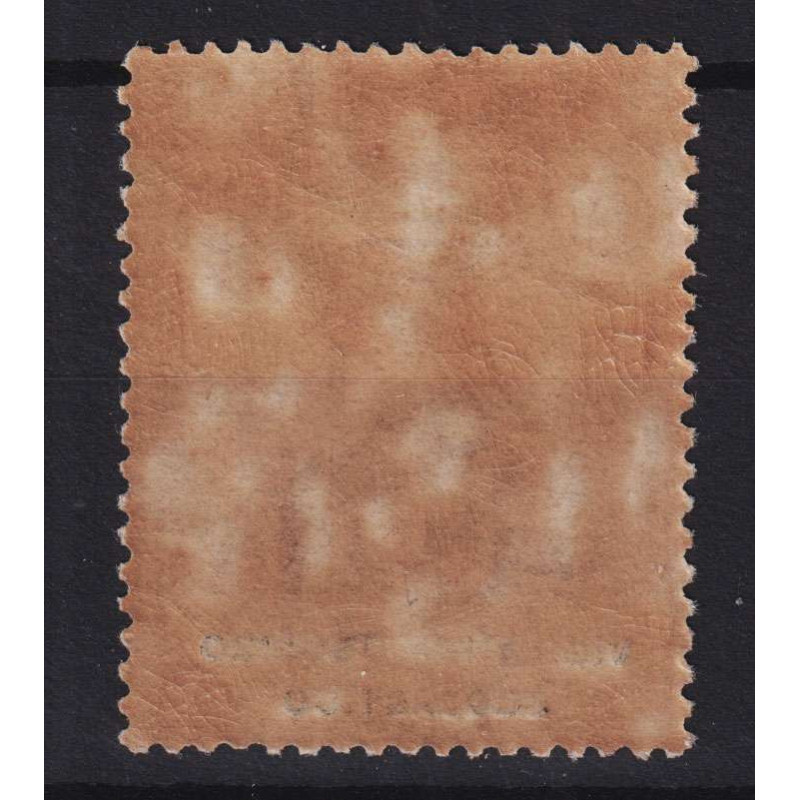 REGNO 1924 ENTI PARASTATALI VIGILANZA OBBLIGO SCOLASTICO G.I MNH** ...
