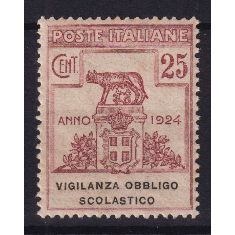 REGNO 1924 ENTI PARASTATALI VIGILANZA OBBLIGO SCOLASTICO G.I MNH** ...