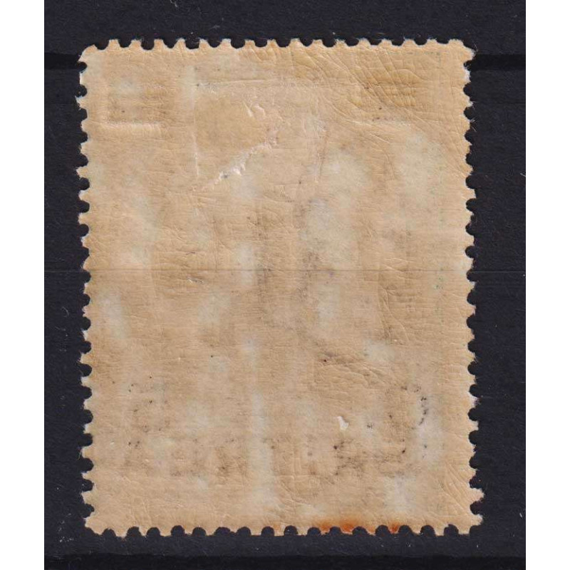 COLONIE ERITREA 1922 ELEFANTI E LEONI 5 C. SU 2 B. G.O MH* LIEVE OS...